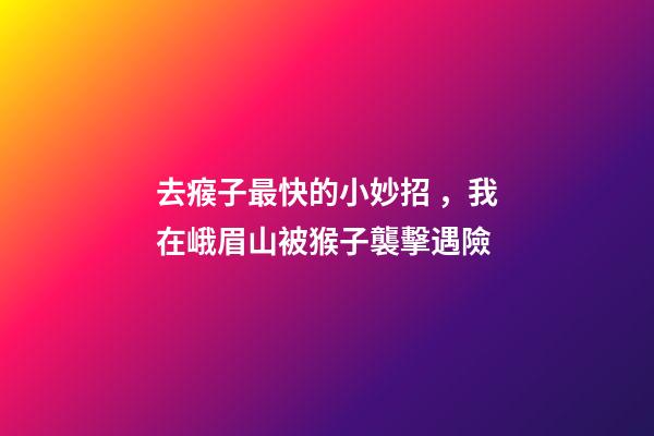 去瘊子最快的小妙招，我在峨眉山被猴子襲擊遇險